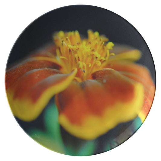 Marigold With Pollen Dinner Plate