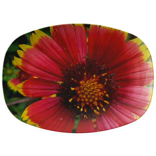 Orange Red Flower Snack Platter