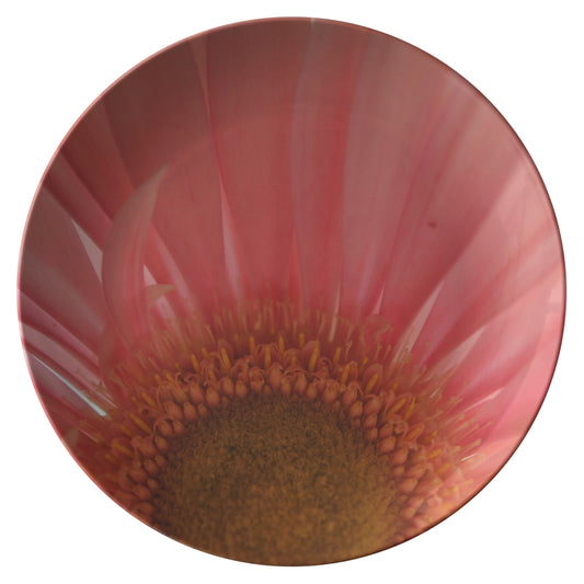 Pastel Pink and Yellow Daisy Center Dinner Plate