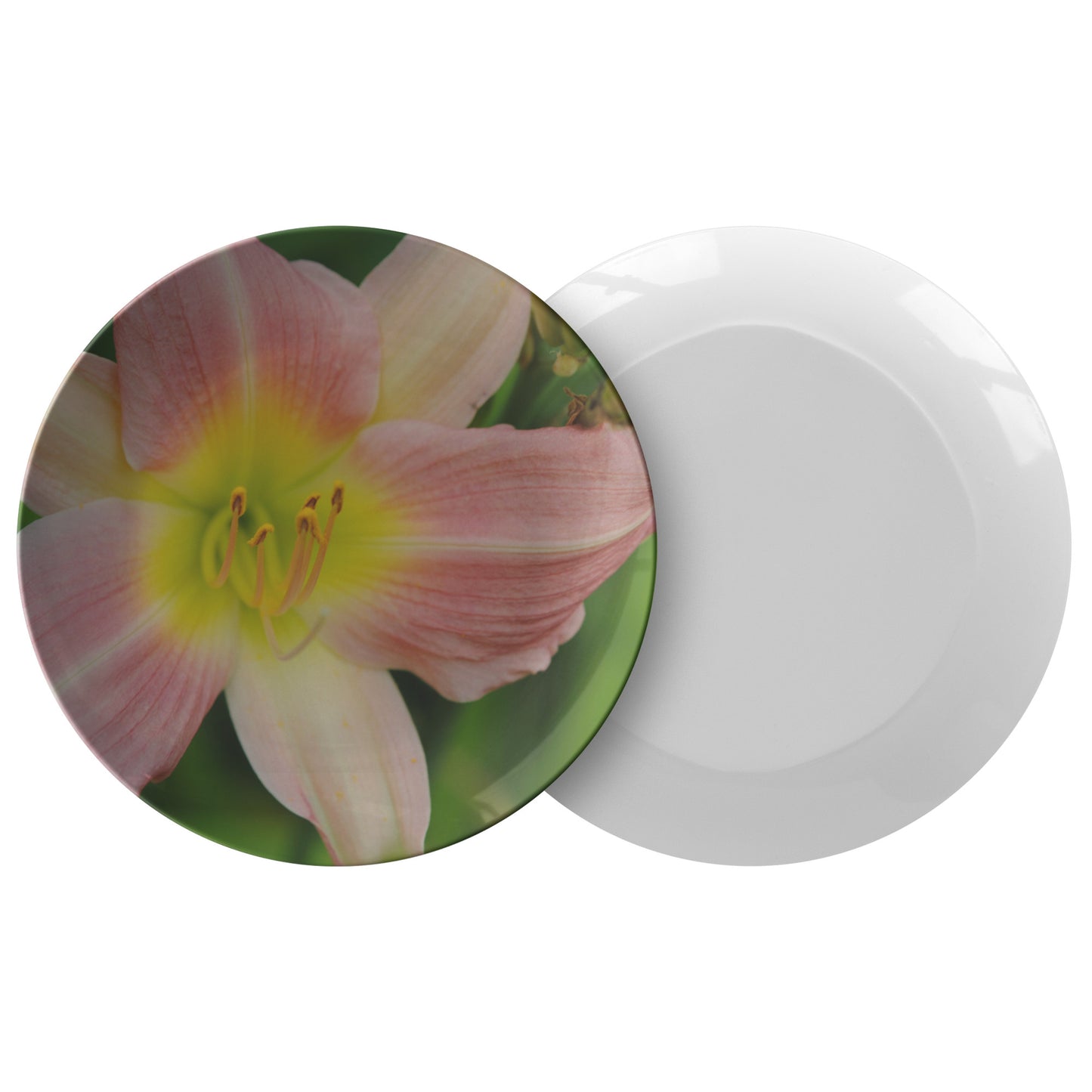 Peaches and Cream Lily Dinner Plate
