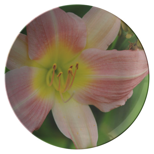 Peaches and Cream Lily Dinner Plate