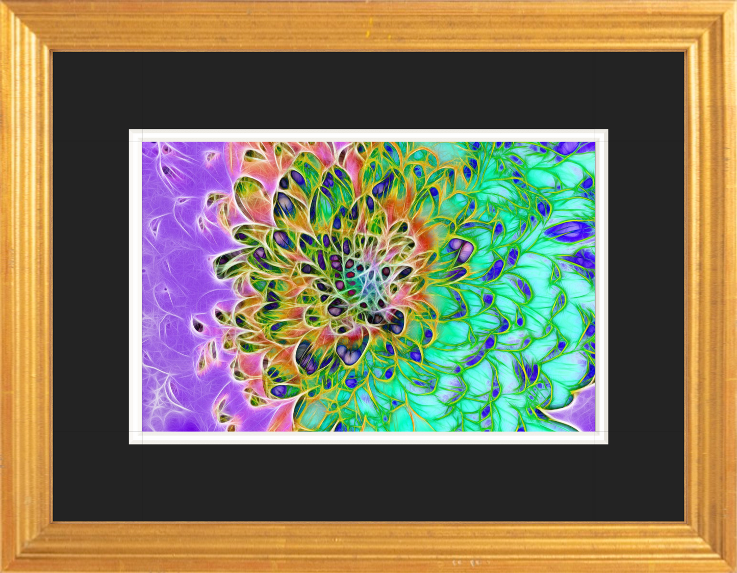 Abstract Chrysanthemum Premium Framed Small Print