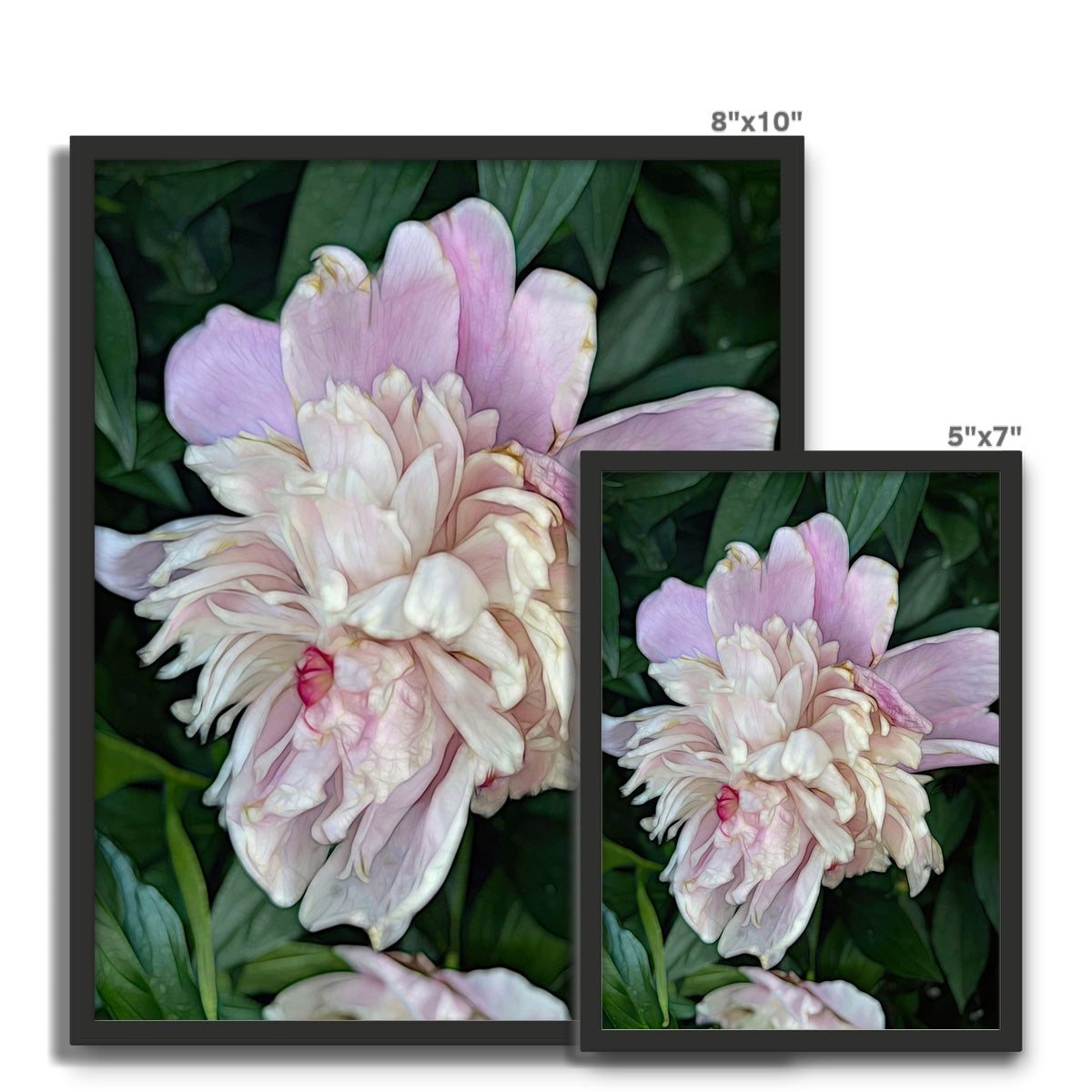 June Peony Framed Photo Tile