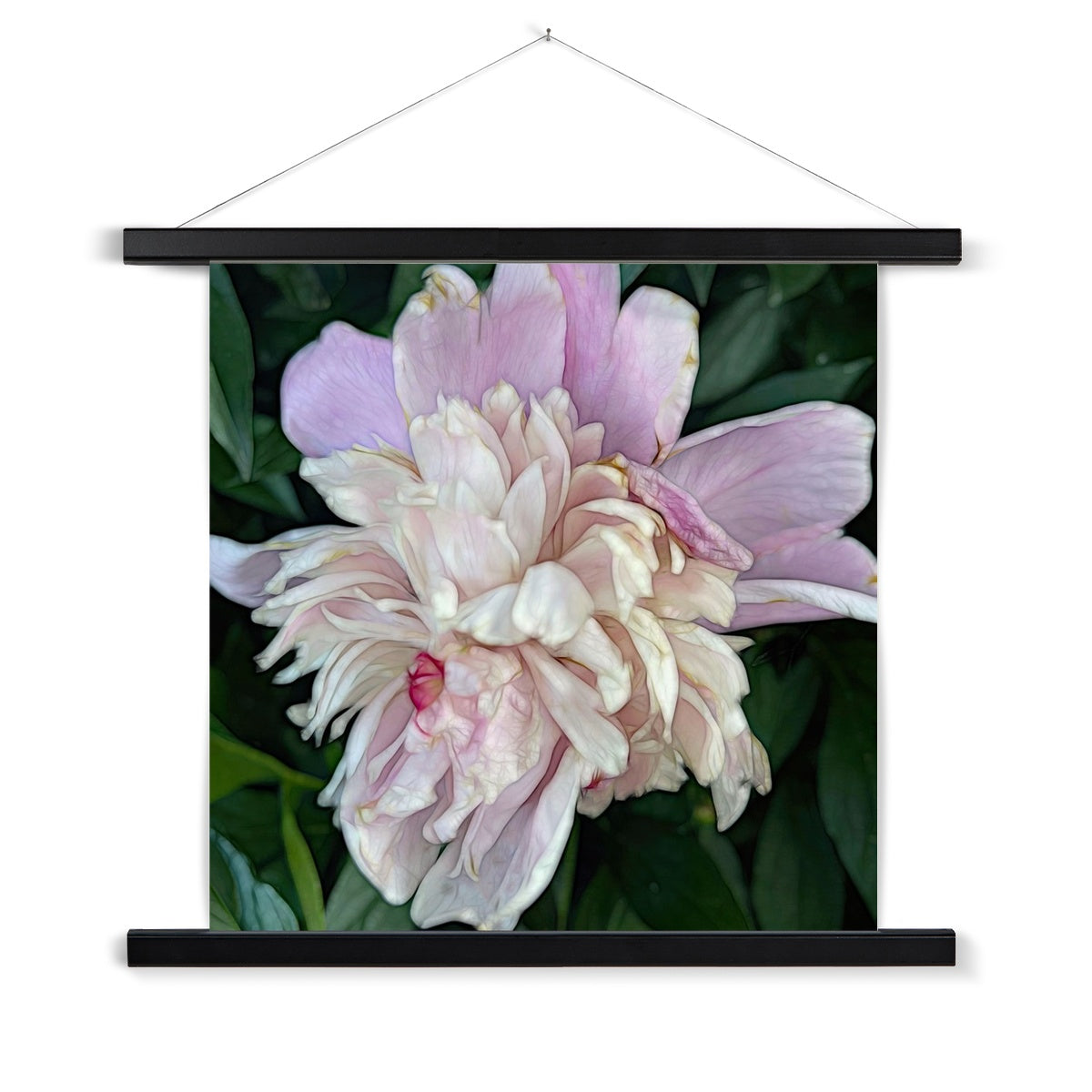 June Peony Fine Art Print with Hanger