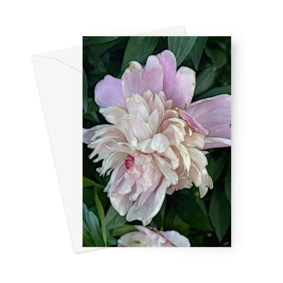 June Peony Greeting Card