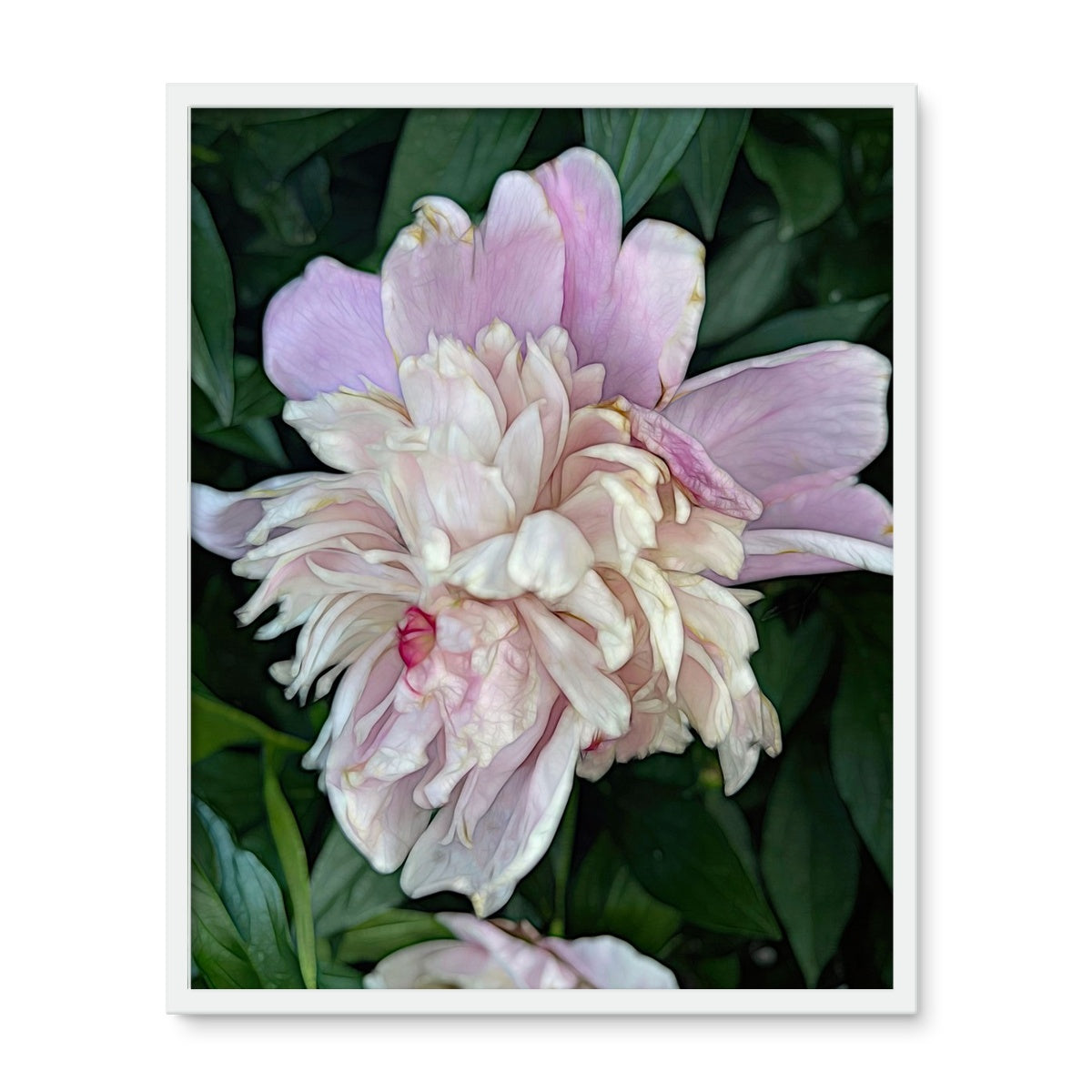 June Peony Framed Photo Tile