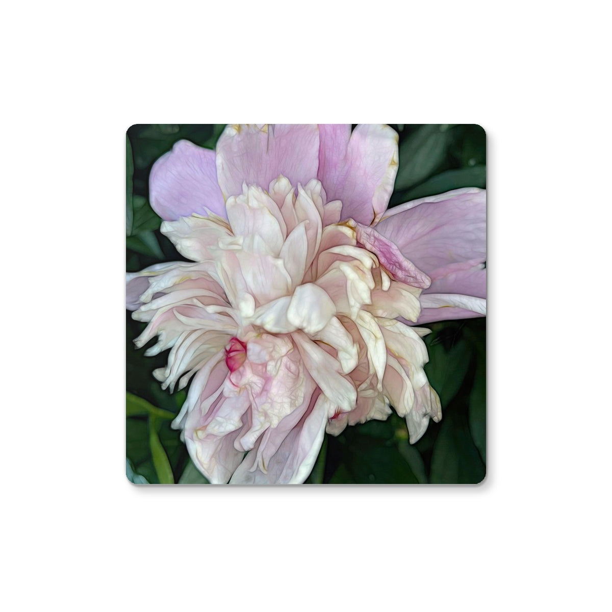 June Peony Coaster