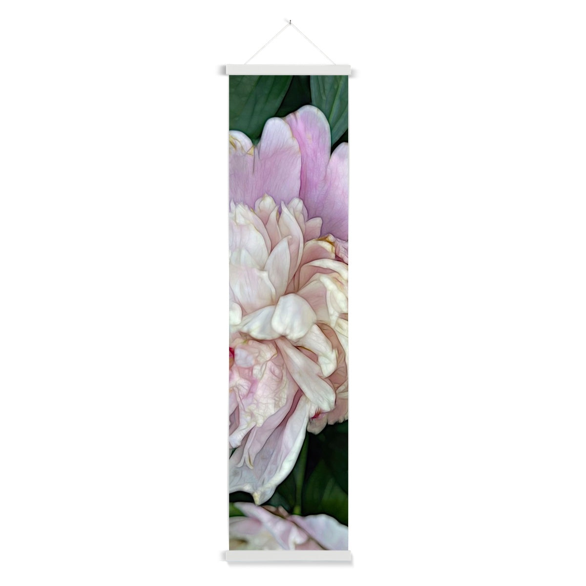 June Peony Wall Height Chart