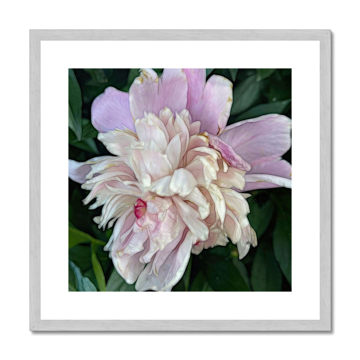 June Peony Antique Framed & Mounted Print