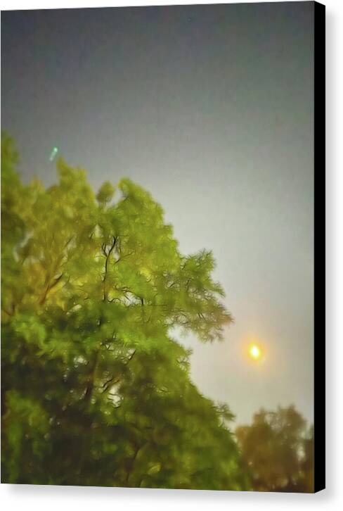 Blue Moon August 2024 - Canvas Print