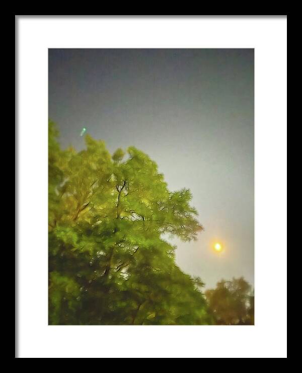 Blue Moon August 2024 - Framed Print