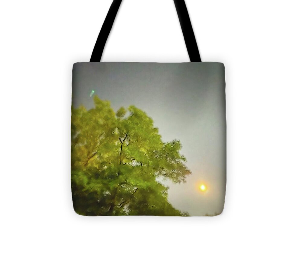 Blue Moon August 2024 - Tote Bag