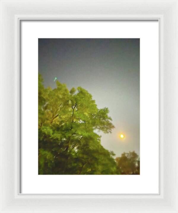 Blue Moon August 2024 - Framed Print