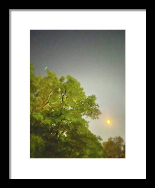 Blue Moon August 2024 - Framed Print