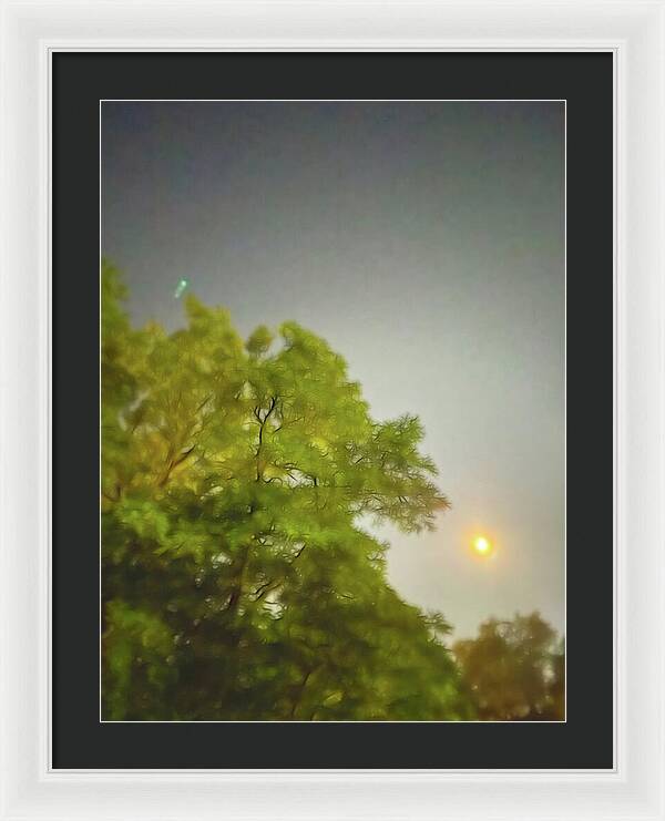 Blue Moon August 2024 - Framed Print