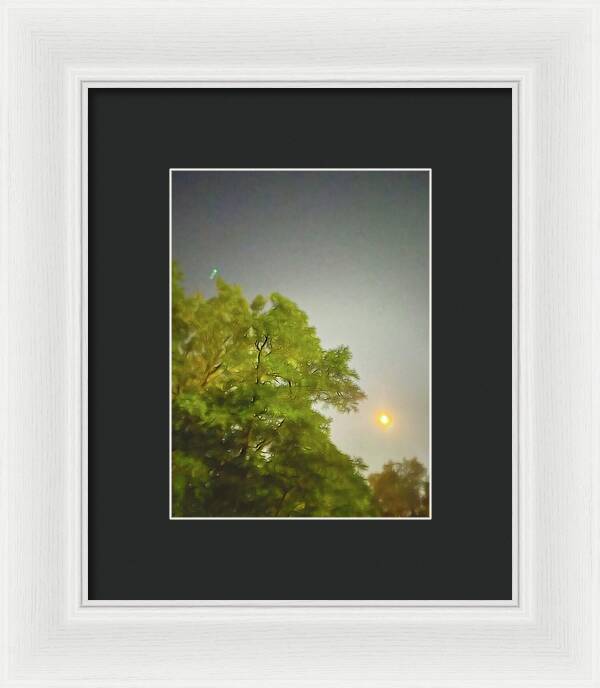 Blue Moon August 2024 - Framed Print