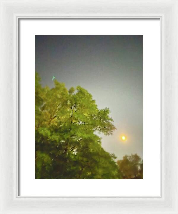 Blue Moon August 2024 - Framed Print