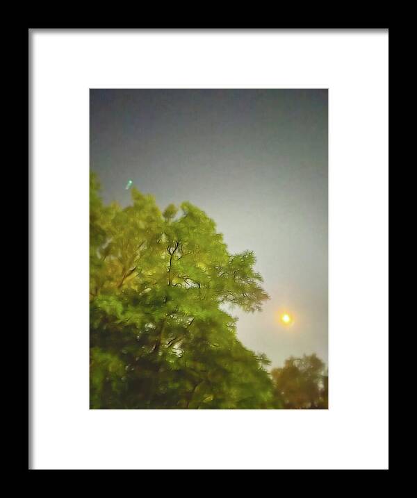 Blue Moon August 2024 - Framed Print