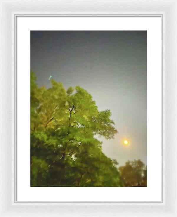 Blue Moon August 2024 - Framed Print