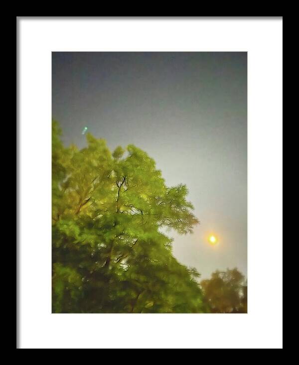 Blue Moon August 2024 - Framed Print