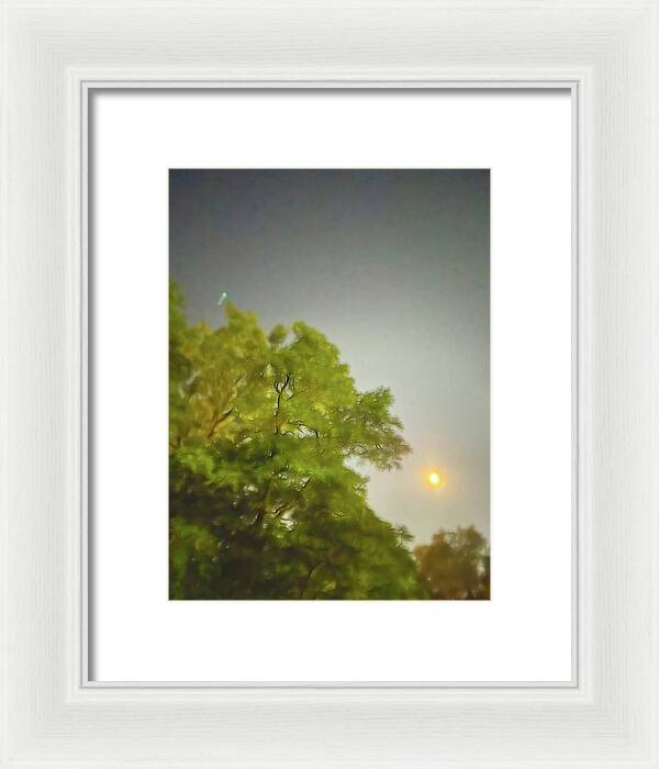 Blue Moon August 2024 - Framed Print