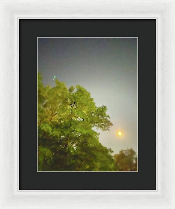 Blue Moon August 2024 - Framed Print