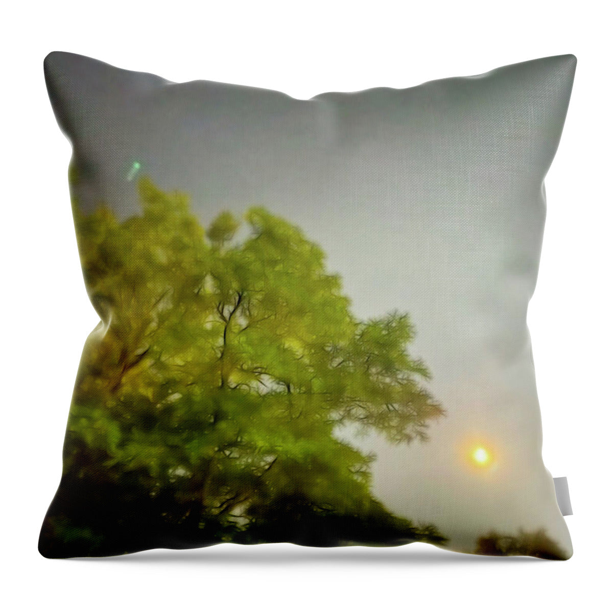 Blue Moon August 2024 - Throw Pillow