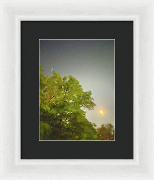 Blue Moon August 2024 - Framed Print