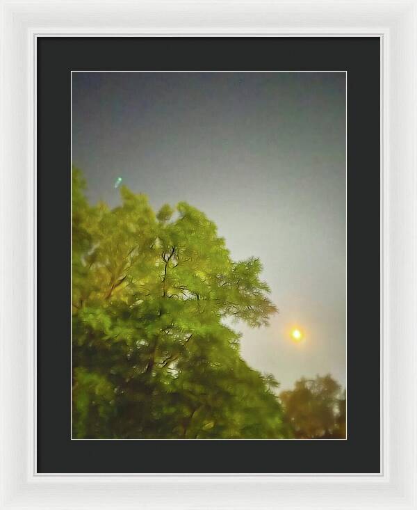 Blue Moon August 2024 - Framed Print