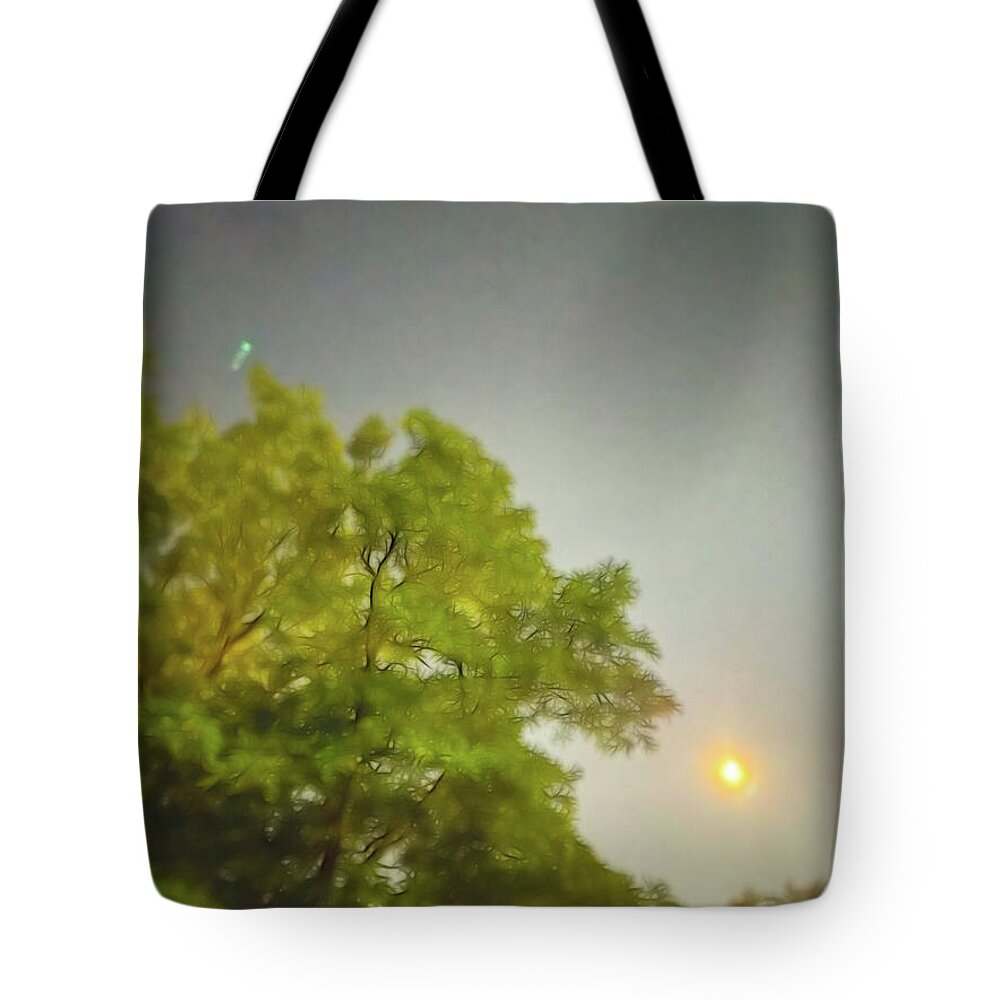 Blue Moon August 2024 - Tote Bag