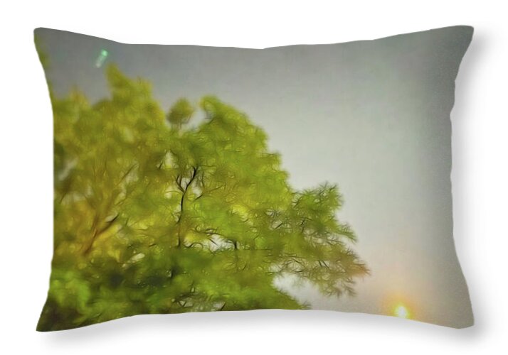 Blue Moon August 2024 - Throw Pillow