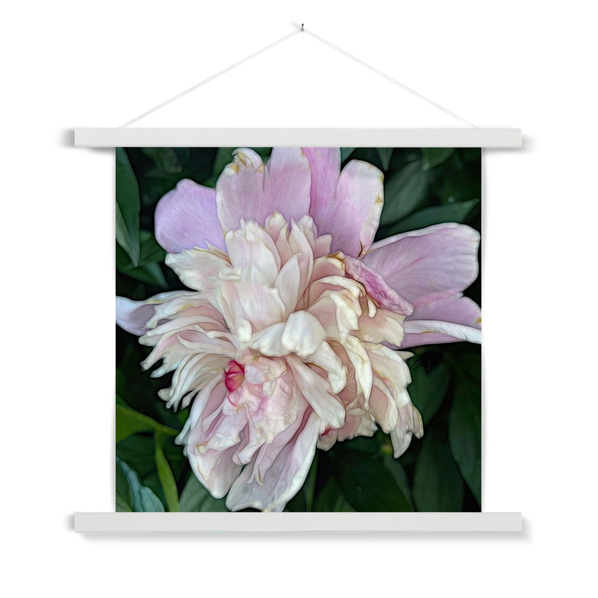 June Peony Fine Art Print with Hanger