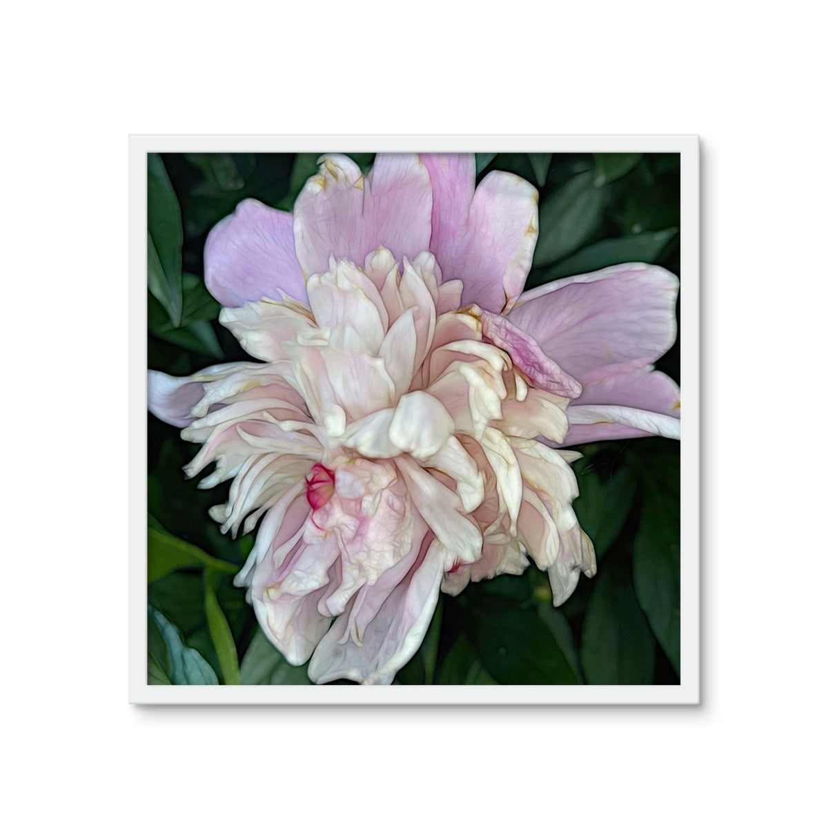 June Peony Framed Photo Tile