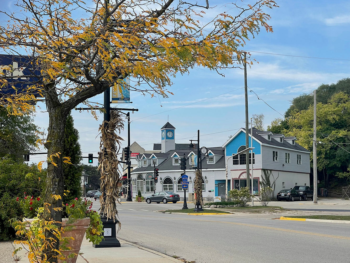 Downtown Fox Lake Digital Image Download