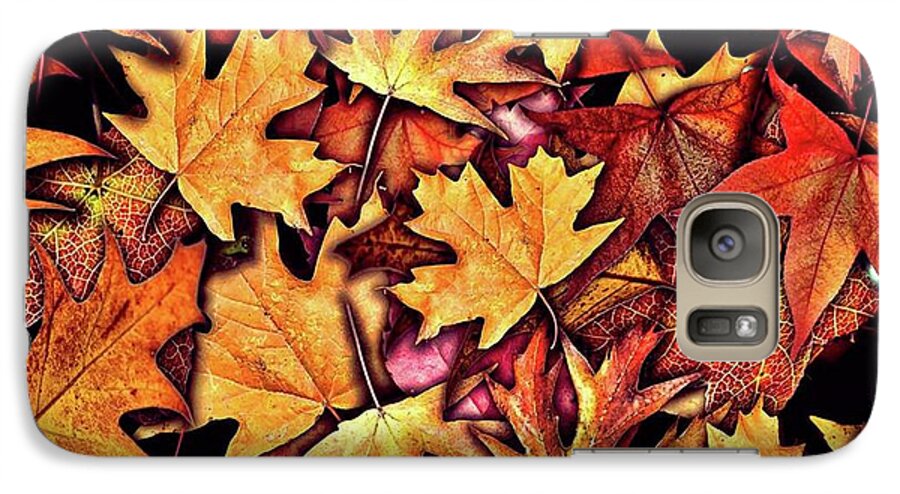 Fall Leaves Collage - Phone Case