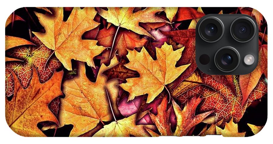 Fall Leaves Collage - Phone Case