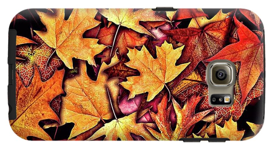 Fall Leaves Collage - Phone Case