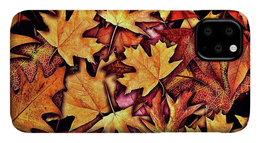 Fall Leaves Collage - Phone Case