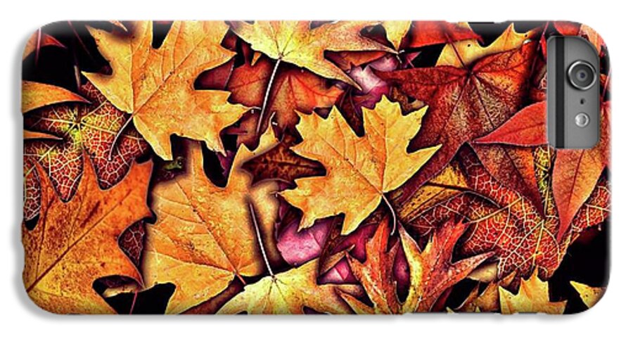 Fall Leaves Collage - Phone Case