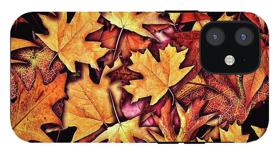 Fall Leaves Collage - Phone Case