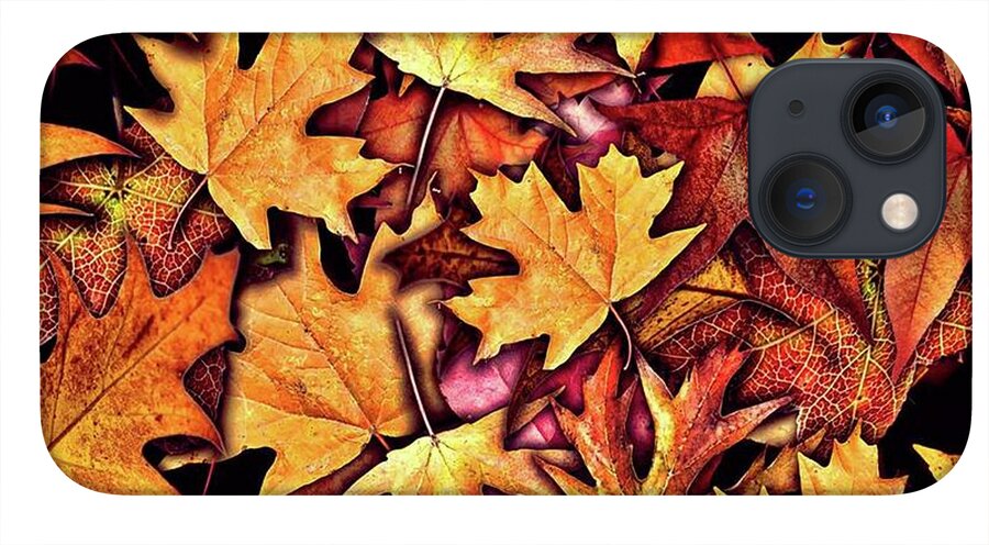 Fall Leaves Collage - Phone Case