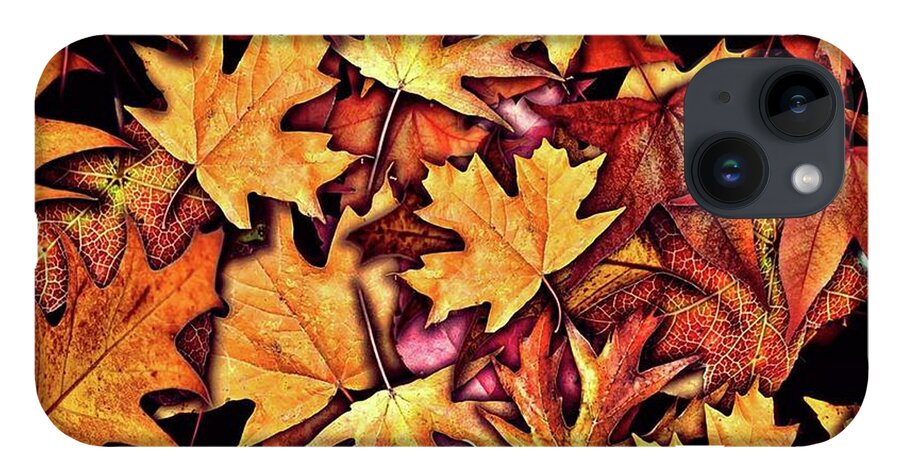 Fall Leaves Collage - Phone Case