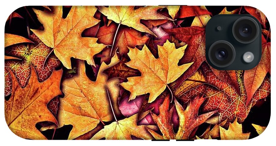 Fall Leaves Collage - Phone Case