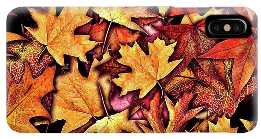 Fall Leaves Collage - Phone Case