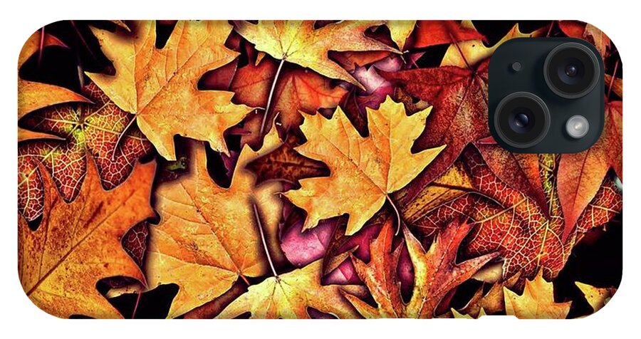 Fall Leaves Collage - Phone Case