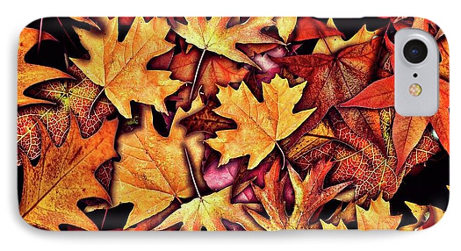 Fall Leaves Collage - Phone Case