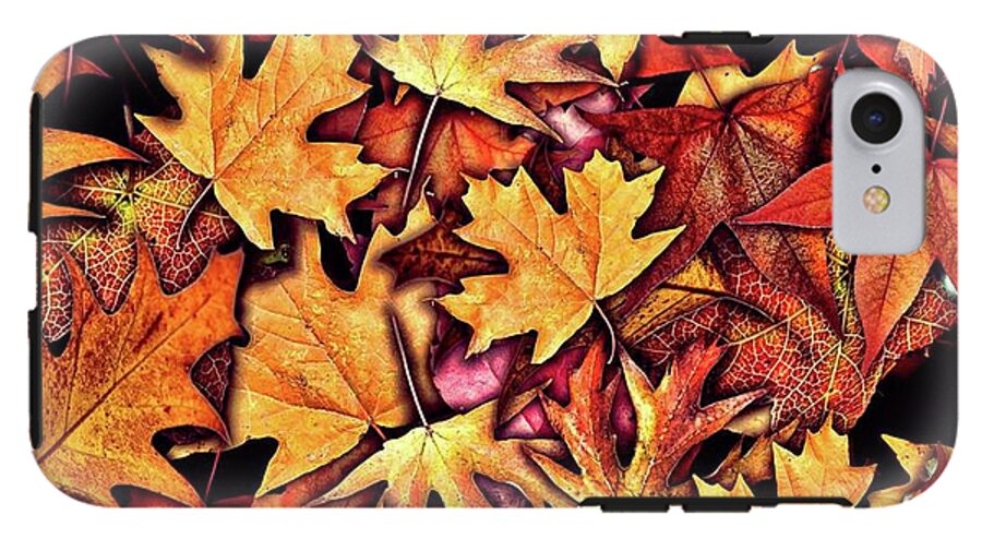 Fall Leaves Collage - Phone Case