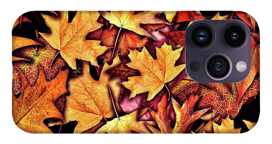 Fall Leaves Collage - Phone Case