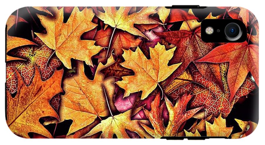 Fall Leaves Collage - Phone Case