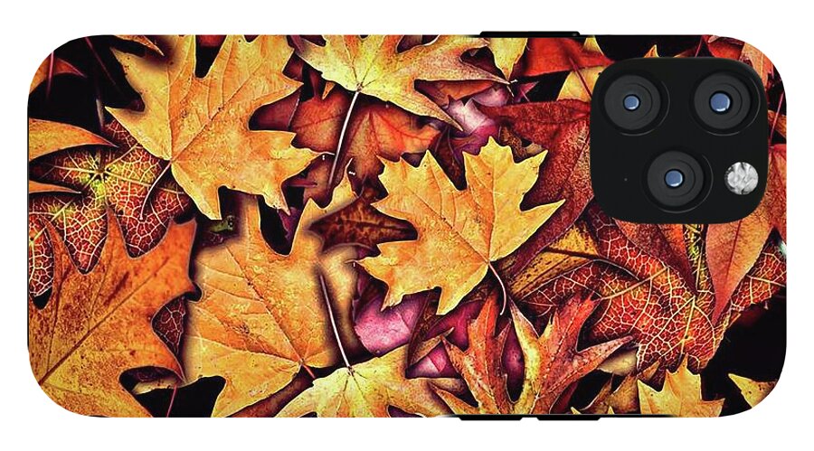 Fall Leaves Collage - Phone Case